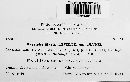 Erysiphe martii image