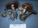 Media resource of Agrocybe smithii