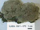 Kretzschmaria deusta image