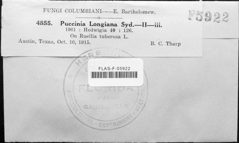 Puccinia longiana image