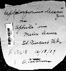 Image Associated With the Occurrence