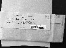 Media resource of Trichothecium roseum