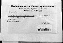 Cladosporium herbarum image