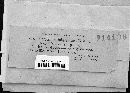 Cercospora tuberculans image