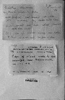 Boletus chrysenteron image