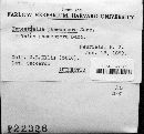 Media resource of Fenestella phaeospora