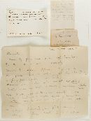 Thumbnail image of current specimen