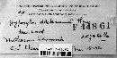 Media resource of Hypoxylon dieckmannii