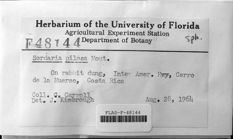 Sordaria pilosa image