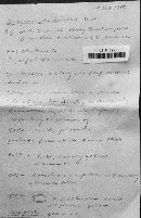 Gyroporus castaneus image