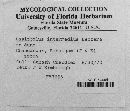 Media resource of Lasiobolus intermedius