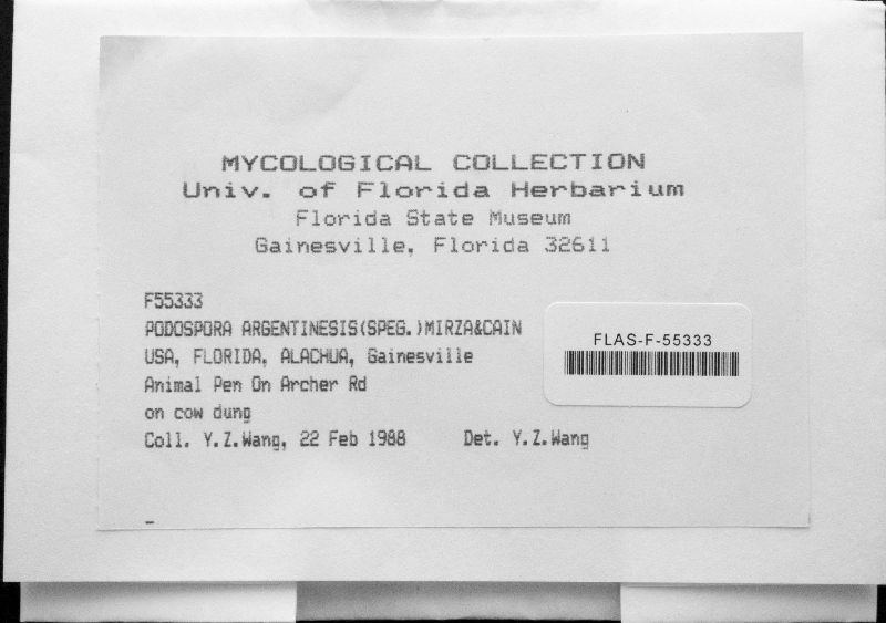 Podospora argentinensis image