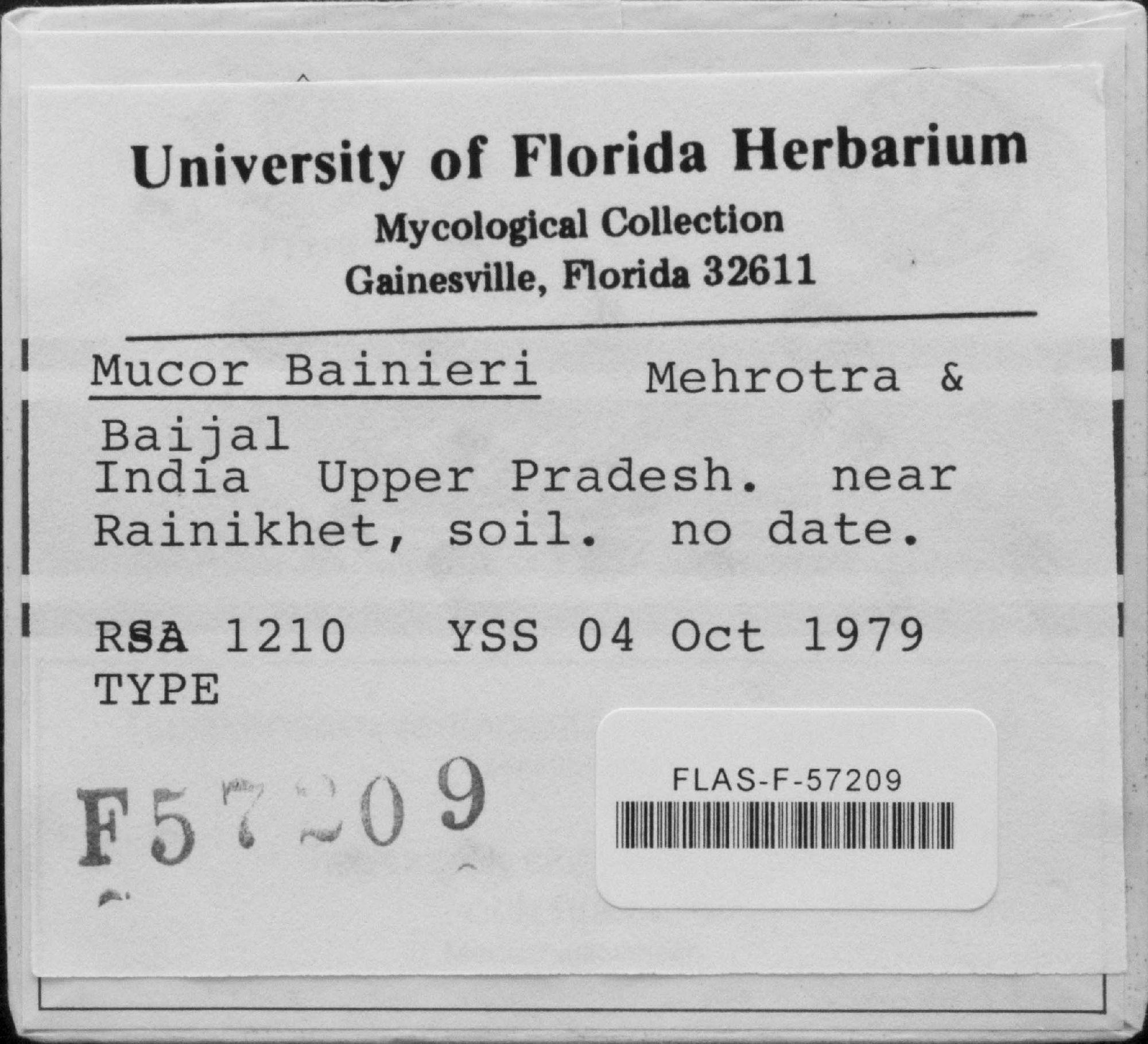 Mucor bainieri