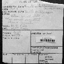 Amanita suballiacea image