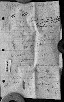 Xylaria schweinitzii image