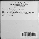 Image Associated With the Occurrence