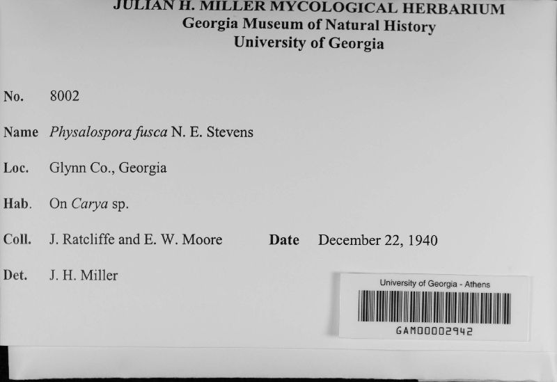 Barriopsis fusca image