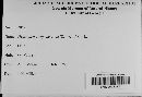 Biscogniauxia atropunctata image
