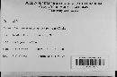 Thumbnail image of current specimen