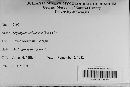 Annulohypoxylon cohaerens image