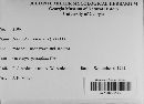 Annulohypoxylon cohaerens image