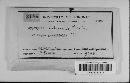 Annulohypoxylon cohaerens image