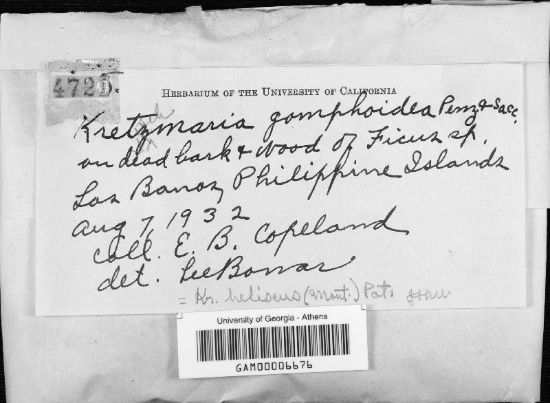 Kretzschmaria heliscus image