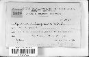 Thumbnail image of current specimen