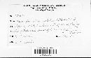 Biscogniauxia atropunctata image