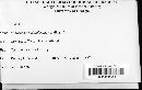 Media resource of Podosphaera clandestina