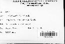 Thumbnail image of current specimen