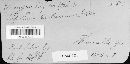 Uromyces trifolii image