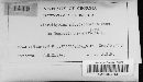 Thumbnail image of current specimen