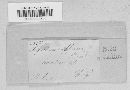 Thumbnail image of current specimen
