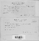 Thumbnail image of current specimen