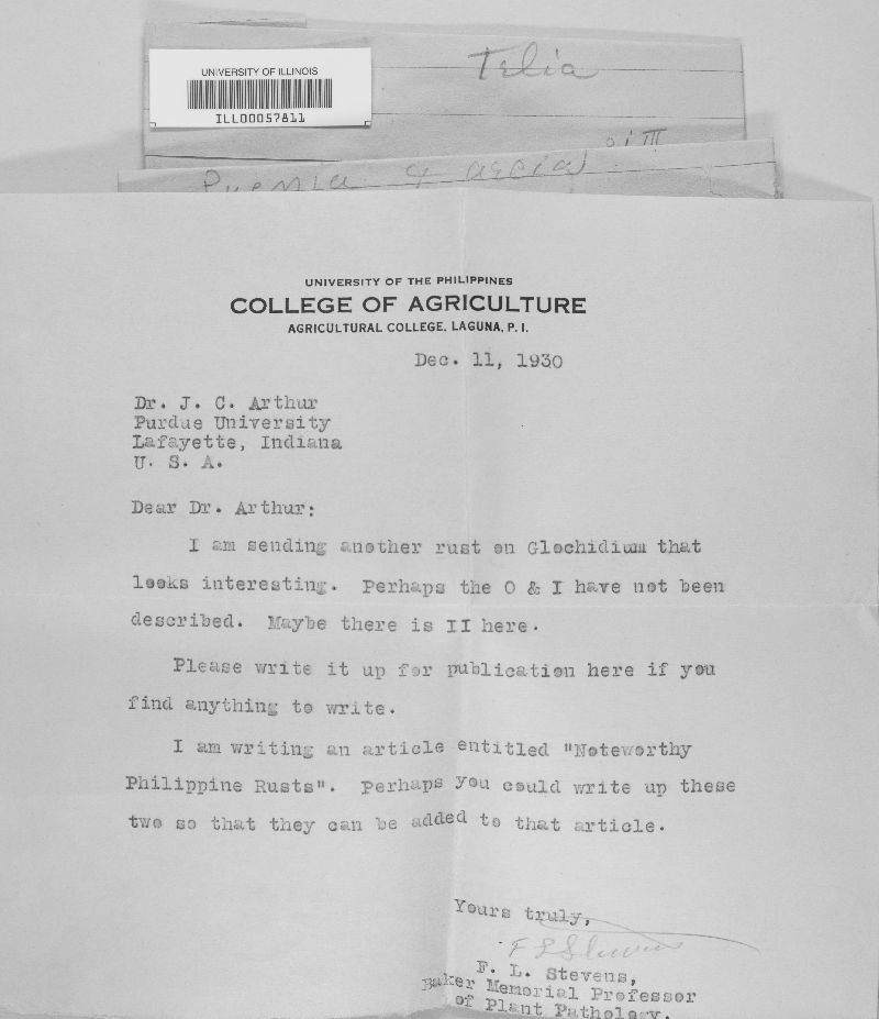 Cronartium sawadae image