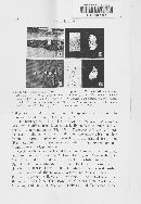 Postia ceriflua image