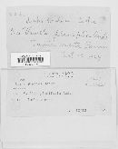 Image Associated With the Occurrence