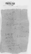 Hygrophorus russula image