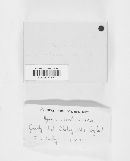 Agaricus silvicola image