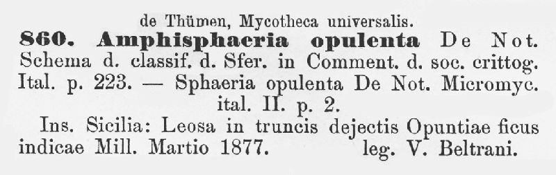 Montagnula opulenta image