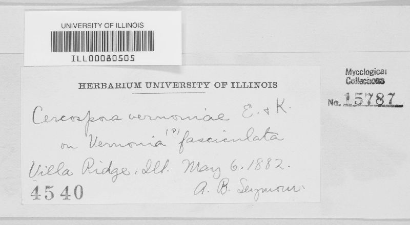 Cercospora vernoniae image