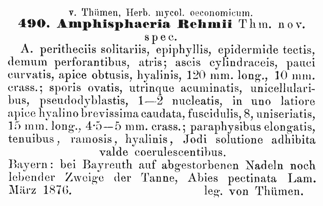 Amphisphaeria rehmii image
