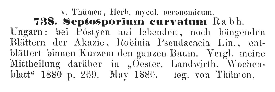 Septosporium curvatum image