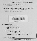 Image Associated With the Occurrence