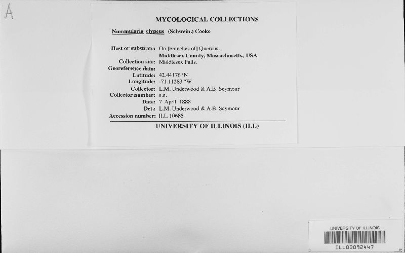 Biscogniauxia mediterranea image