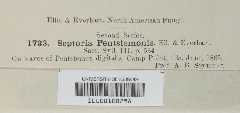 Septoria penstemonis image