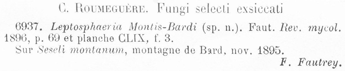 Leptosphaeria montis-bardi image