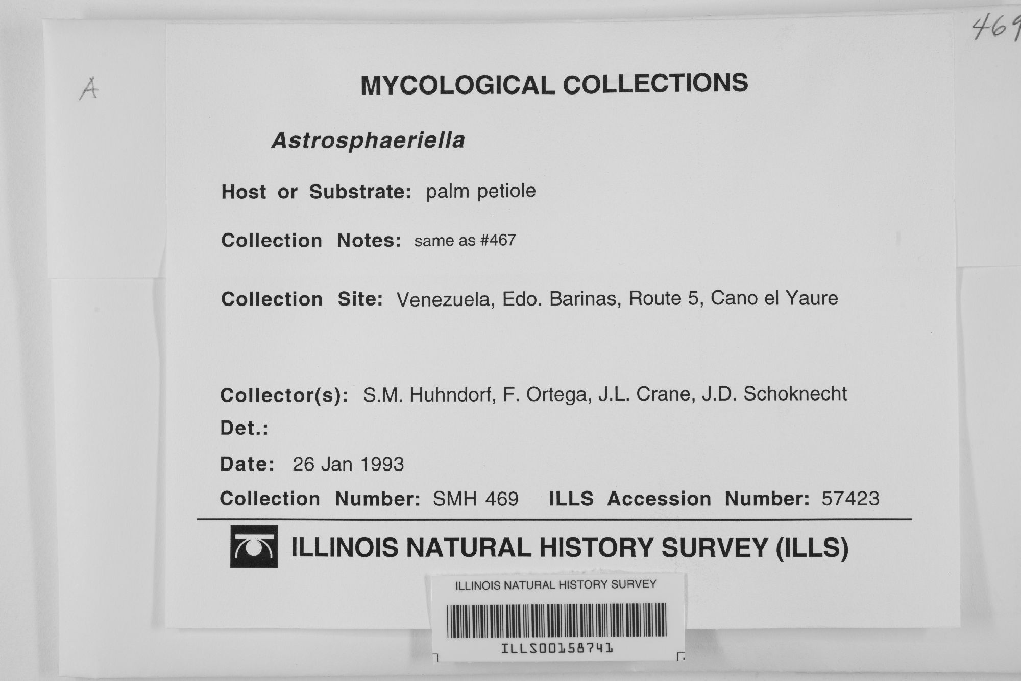 Astrosphaeriella thumbnail