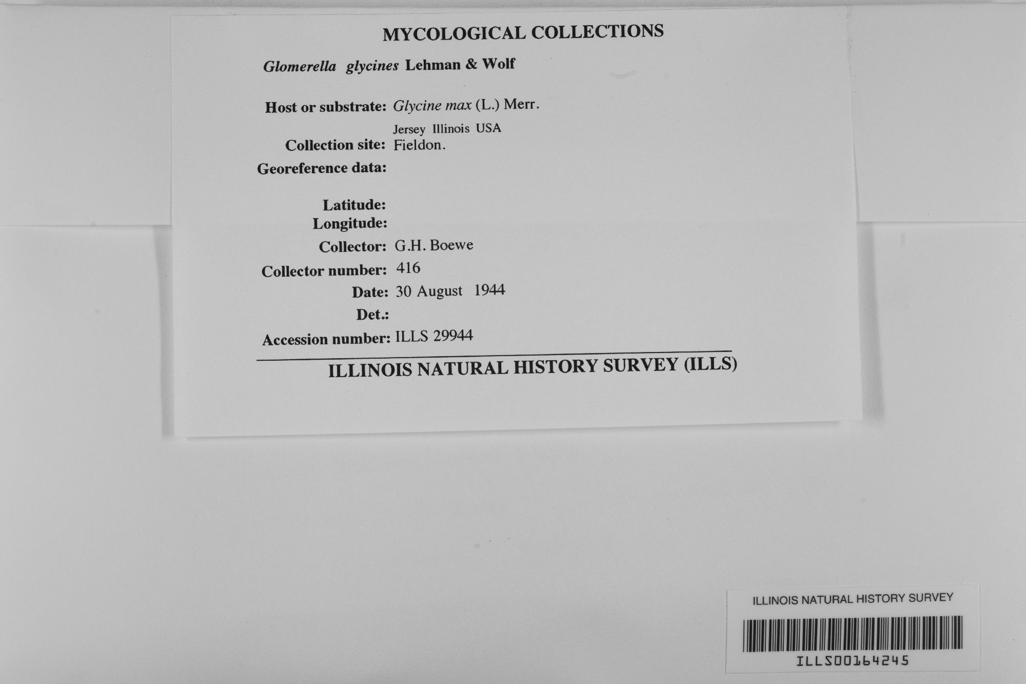 Glomerella glycines thumbnail